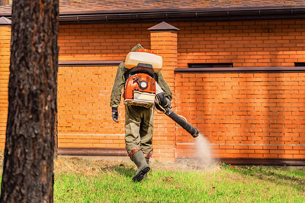 Trusted Cockroach Control service in Kinsey, AL - Nex Pest Control